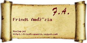 Frindt Amázia névjegykártya